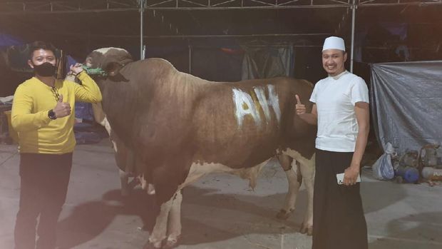 Habib Usman dan Kartika Putri Kurban 22 Sapi
