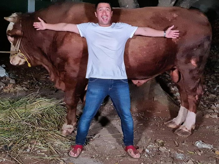 Irfan Hakim Dapat Sapi 1 Ton dan Domba Garut Gratis untuk Kurban