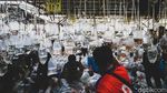 Pasar Ikan Hias di Parung Ramai Banget