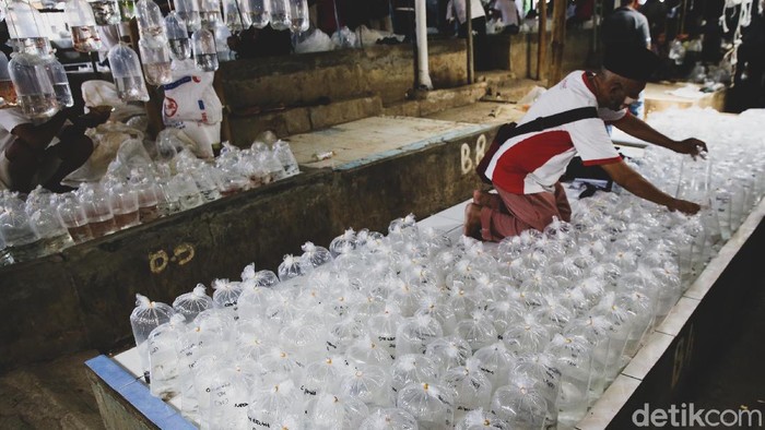 Sentra pasar ikan hias di Parung, Bogor, Jawa Barat, ramai dipadati pengunjung. Berikut foto-foto terkininya!