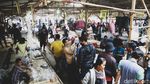 Pasar Ikan Hias di Parung Ramai Banget