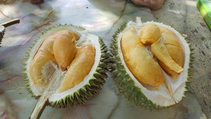 Penipu Durian di Singapura