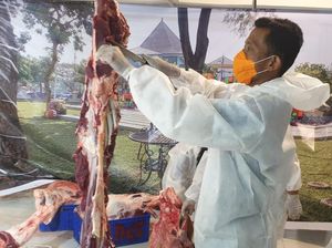 Tips Simpan Daging Kurban di Kulkas yang Benar Agar Tahan Lama