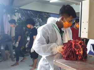 Tim Juleha Sembelih Sapi Kurban Jokowi di Masjid Al-Akbar, Total 84 Hewan Kurban