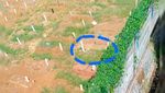 3 Anak Perempuan Panjat Tower Demi Ziarahi Ibu di Makam Corona