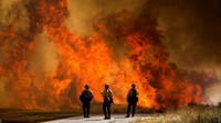 Sejumlah petugas pemadam kebakaran dikerahkan untuk memadamkan api yang menjalar di bagian selatan California, AS, pada akhir pekan ini.