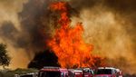 Aksi Petugas Damkar Padamkan Api di California