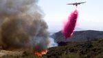 Aksi Petugas Damkar Padamkan Api di California