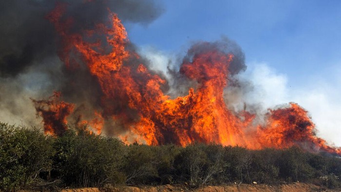 Petugas pemadam kebakaran dikerahkan untuk padamkan api kawasan California, AS. Berikut aksi para petugas damkar saat tengah padamkan karhutla.