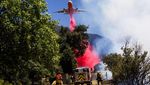 Aksi Petugas Damkar Padamkan Api di California