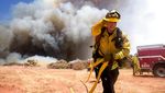 Aksi Petugas Damkar Padamkan Api di California