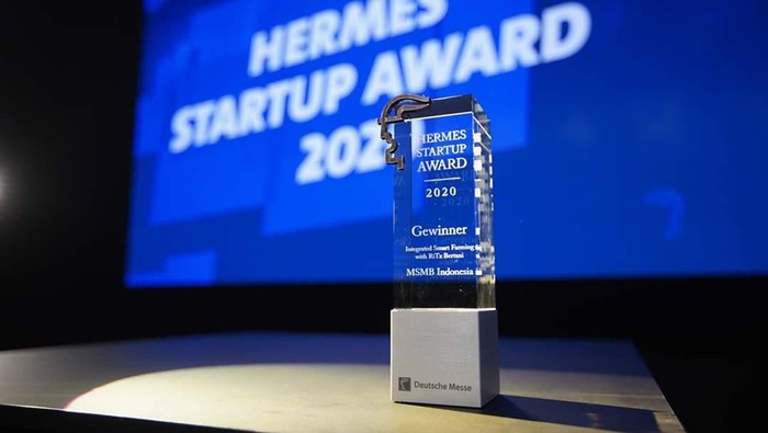 Hermes Startup Award
