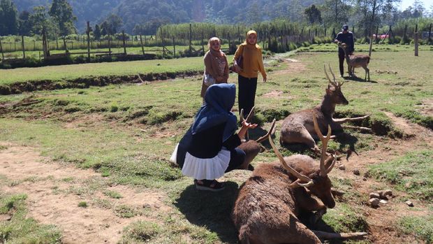Kampung Cai Ranca Upas Rancabali