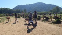 Wisatawan bisa berfoto dan mengenal tentang rusa lebih jauh. (Wisma Putra/detikcom)