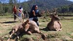 Bukan Afrika, Ini Ranca Upas