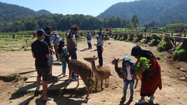Kampung Cai Ranca Upas Rancabali
