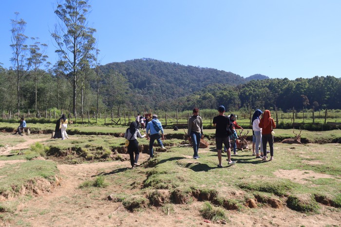 Kampung Cai Ranca Upas Rancabali
