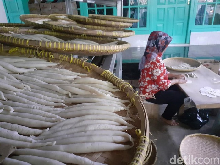 produksi sotong ciamis produksi sotong ciamis