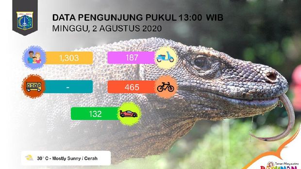 Taman Marga Satwa Ragunan (Foto: Sachril/detikcom)