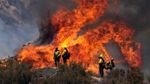 1.300 Damkar Berjibaku Halau Kebakaran Hutan di California