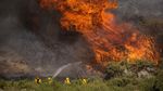 1.300 Damkar Berjibaku Halau Kebakaran Hutan di California