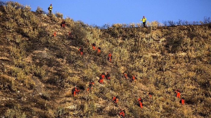 1.300 Damkar Berjibaku Halau Kebakaran Hutan di California Lebih dari 1.300 petugas pemadam sedang berjuang untuk memadamkan kebakaran yang masih tak terkendali di California, Amerika Serikat.