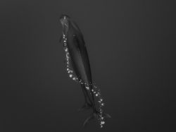 Karya Jawara AIPP Silver Lining Awards 2020 Bikin Takjub