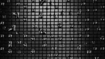 Jawara kategori Isolated diraih Karen Waller. Foto: AIPP Silver Lining Awards 2020