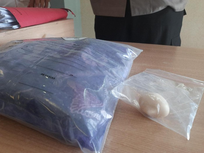 barang bukti telur yang dimasukkan ke kemaluan