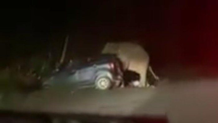 Gajah injak kap mobil