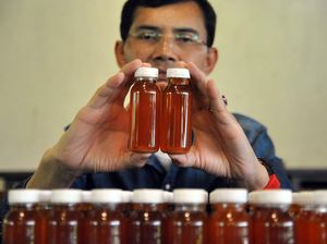 Kontroversi Obat COVID-19 RI, Antibodi Hadi Pranoto hingga Kalung Eucalyptus