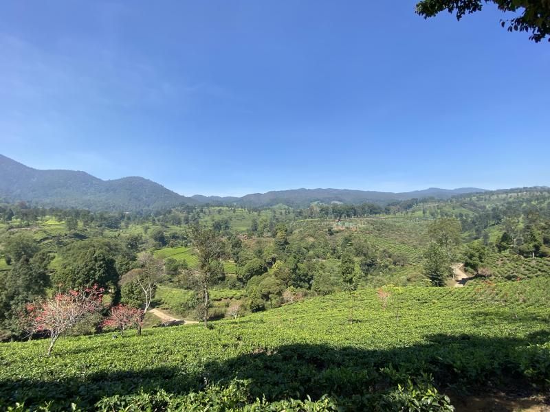 Kemah Gaya Overland di Ranca Cangkuang Bandung