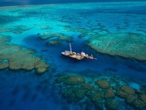 Terumbu Karang Setinggi Gedung Pencakar Langit Ditemukan di Australia