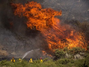 Kebakaran Hutan Melanda California, 1.300 Pemadam Dikerahkan