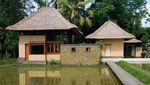 Rindu Hijaunya Persawahan Ubud Bali