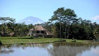 Tampak gunung dibalik persawahan. (Foto: Lena Ellitan/dtraveler)