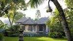 Rindu Hijaunya Persawahan Ubud Bali