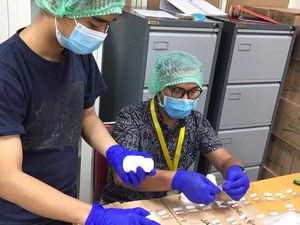 Vaksin COVID-19 Siap Edar 2021, LIPI: Terlalu Dini Menyimpulkan