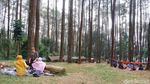 Foto: Wisatawan Mulai Berdatangan ke Batu Kuda Manglayang
