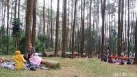 Harga tiketnya cukup murah, hanya Rp 7.500 per orang. (Siti Fatimah/detikcom)