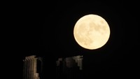 Bulan purnama adalah salah satu fase bulan di mana bulan terletak di belakang bumi ditinjau dari matahari. Bulan purnama terjadi di antara hari ke-14 dan 15.