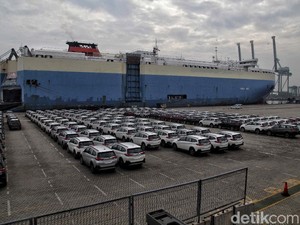 Pengertian Devisa, Jenis, Sumber, hingga Fungsinya