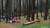 Operasional jam buka pun masih dibatasi. yaitu mulai pukul 05.00-17.00. (Siti Fatimah/detikcom)