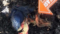 Karena panik, RD membakar karpet dan gorden yang menyebabkan rumah terbakar dan menewaskan korban. Tindakan RD ini, untuk menghilangkan jejak.