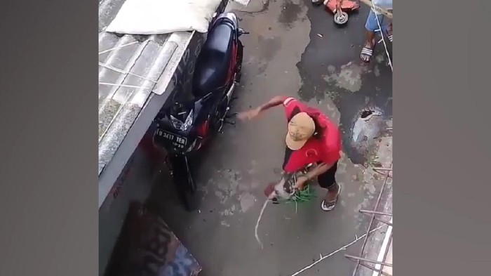Viral di media sosial aksi pemukulan monyet oleh pawangnya sendiri di Jakarta Timur.  Satpol PPJakarta Timur turun tangan mengonfirmasi aksi penganiayaan itu.