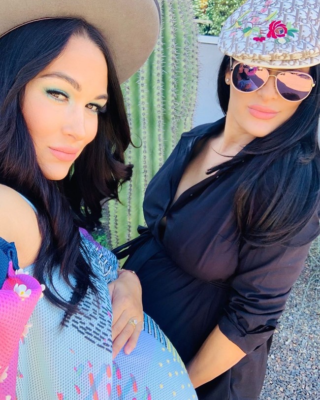 Brie Bella yang pertama kali mengumumkan kelahiran anaknya. Its a BOY. 8-1-2020. We are overwhelmed with joy and everyone is healthy!!!, tulis perempuan 36 tahun itu kepada 7,8 juta pengikutnya di Instagram, Senin (3/8/2020). Bayi laki-laki tersebut merupakan anak keduanya bersama suaminya yang juga bintang WWE, Daniel Bryan. (Foto: Instagram/@thebriebella)