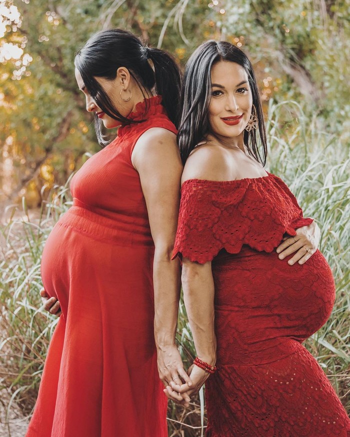 Brie Bella dan Nikki Bella