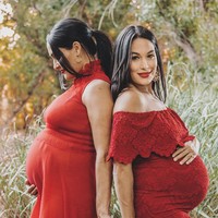 Inilah duo kembar Bella yang kebetulan juga sama-sama berkarier sebagai pegulat WWE (World Wrestling Enterteinment). Tak hanya satu profesi, Brie dan Nikki Bella sama-sama hamil lalu melahirkan anak di waktu yang hampir berdekatan. (Foto: Instagram/@thebriebella)
