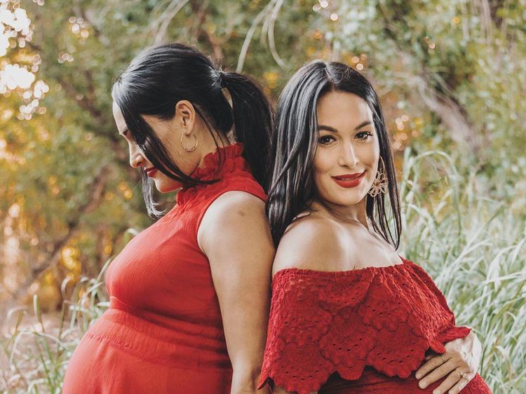 Foto: Pesona Bella Twins, Pegulat WWE yang Melahirkan Hampir Bersamaan
