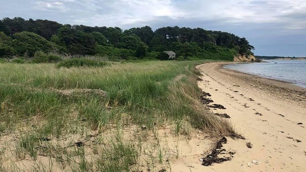 Memiliki luas 24 hektar, Pulau Sipson dibuka pada hari Sabtu (25/7) lalu. Letaknya tak jauh dari Pantai Cape Cod yang dikenal sebagai Pleasant Bay atau daerah yang menjadi perhatian lingkungan yang kritis (Sipson Island Trust) Memiliki luas 24 hektar, Pulau Sipson dibuka pada hari Sabtu (25/7) lalu. Letaknya tak jauh dari Pantai Cape Cod yang dikenal sebagai Pleasant Bay atau daerah yang menjadi perhatian lingkungan yang kritis (Sipson Island Trust)